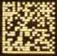 DATA MATRIX 2-d Code Marking Capability